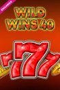 Wild Wins 40