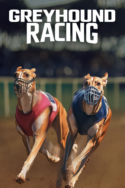 Greyhound Racing